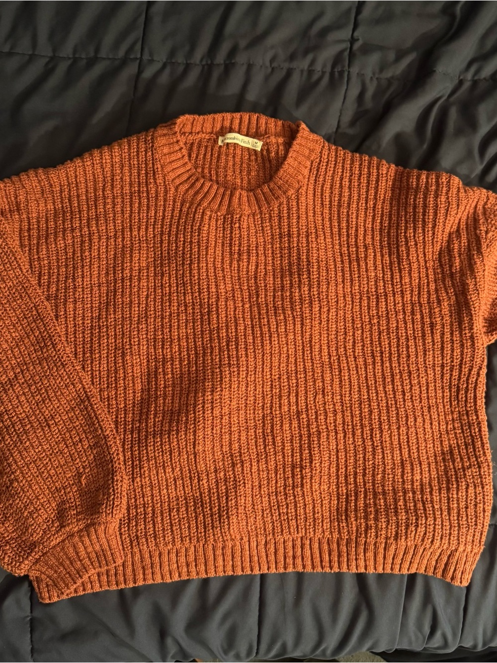 Abercrombie & Fitch 100% cotton textural crew sweater in color rust red - Picture 2 of 7